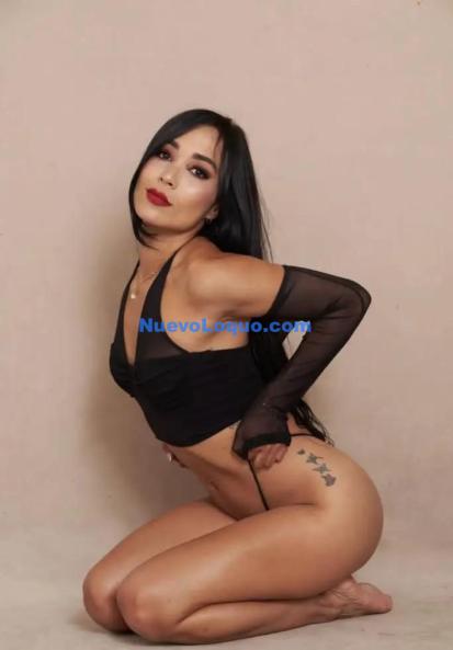 NuevoLoquo2