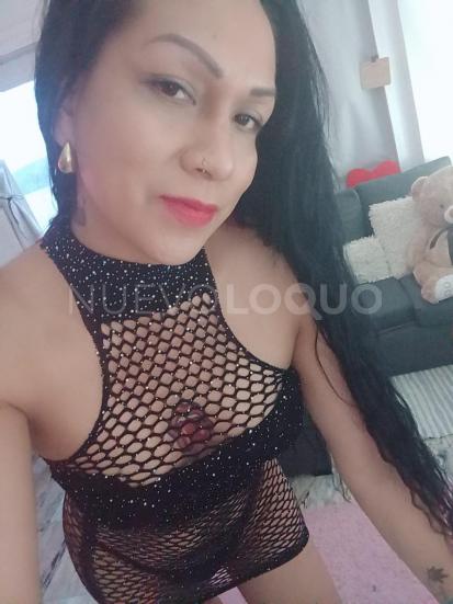 NuevoLoquo3
