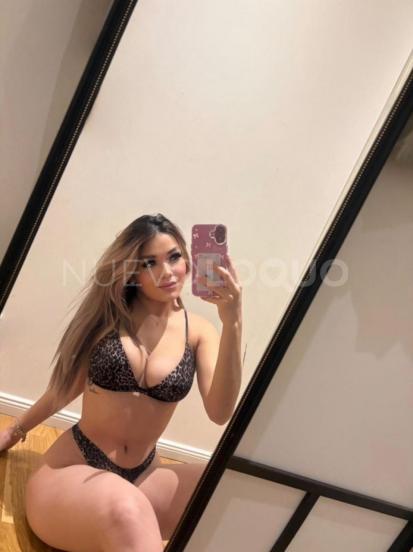 NuevoLoquo3