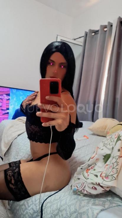 NuevoLoquo4