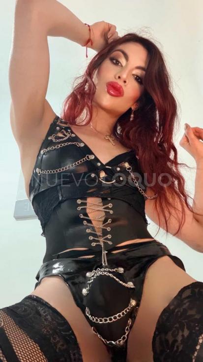 NuevoLoquo2