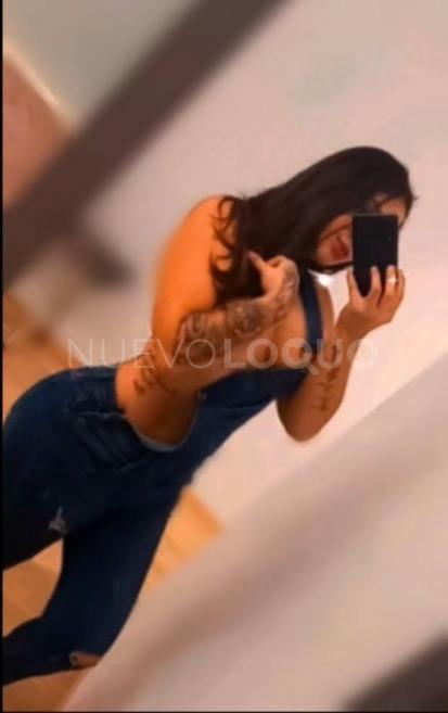 NuevoLoquo5
