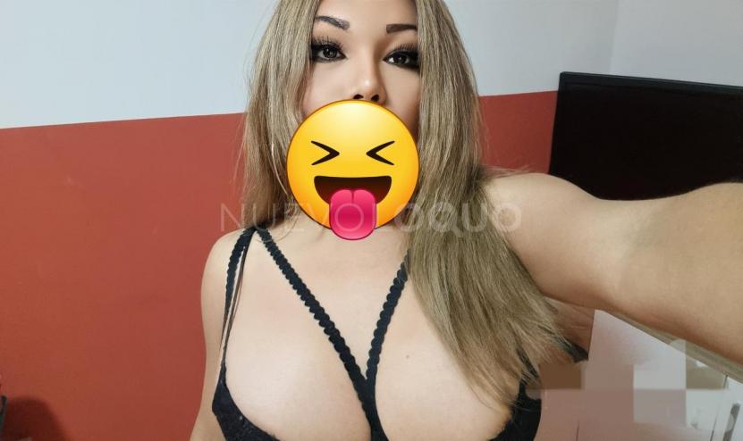 NuevoLoquo4