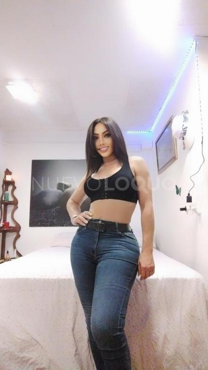 NuevoLoquo2