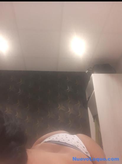 NuevoLoquo4