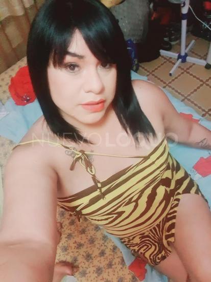 NuevoLoquo3