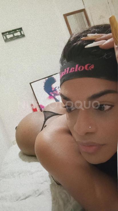 NuevoLoquo4