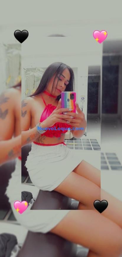NuevoLoquo3