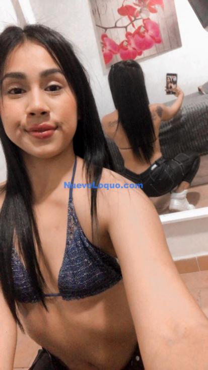 NuevoLoquo5