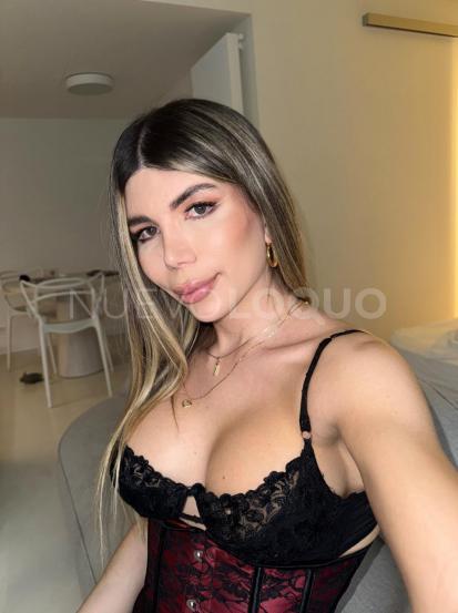 NuevoLoquo3
