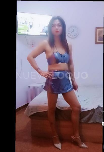 NuevoLoquo3