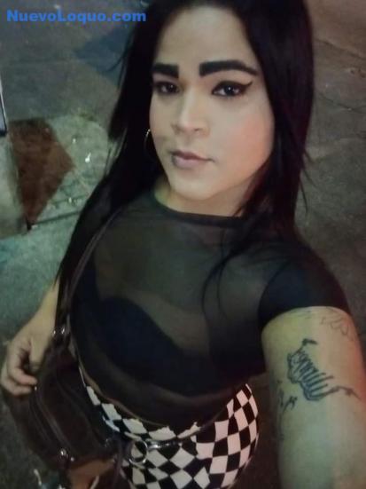 NuevoLoquo1