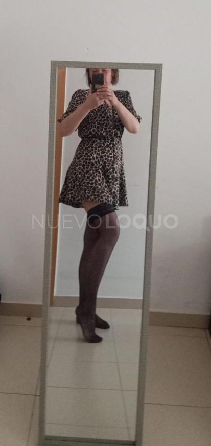 NuevoLoquo5