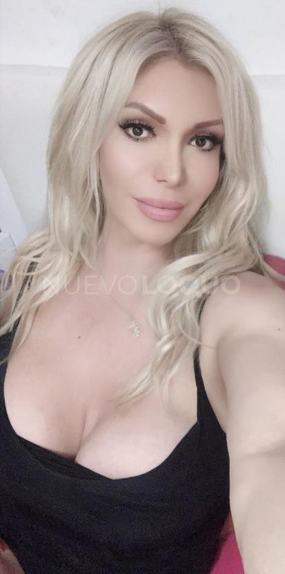 NuevoLoquo3