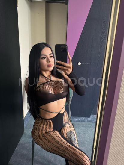 NuevoLoquo2