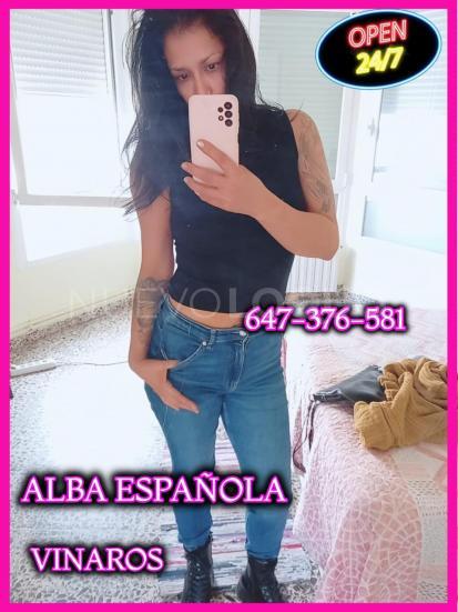 NuevoLoquo3