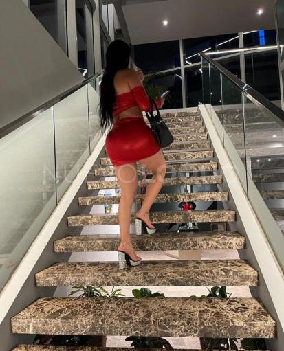 NuevoLoquo4