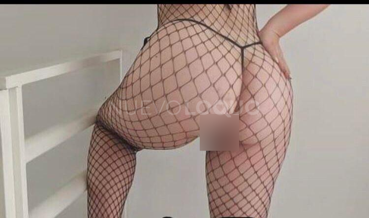 NuevoLoquo3