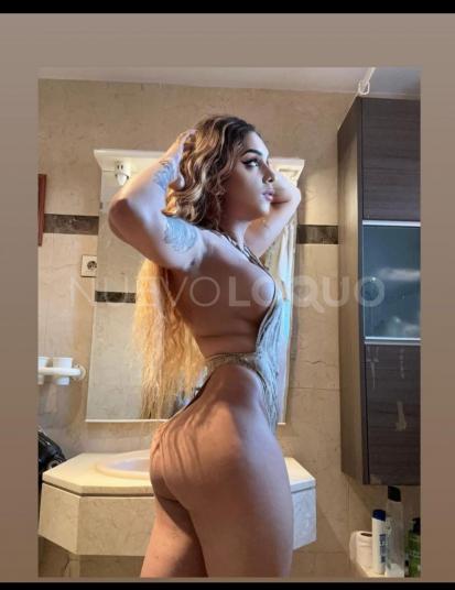 NuevoLoquo3