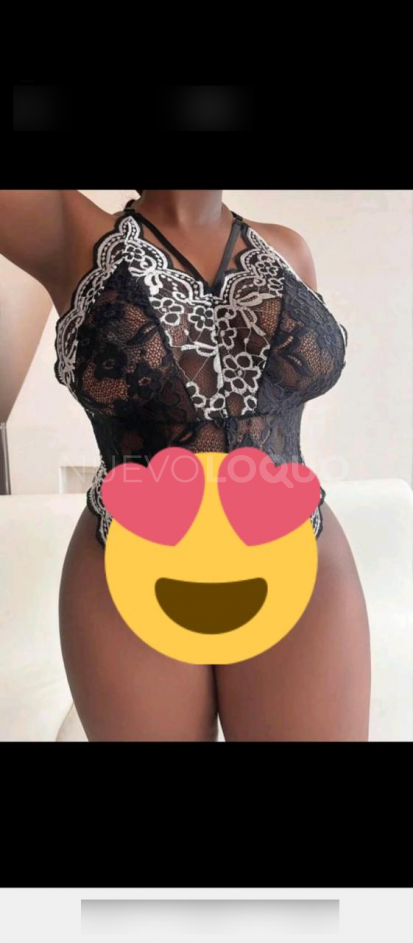 NuevoLoquo2
