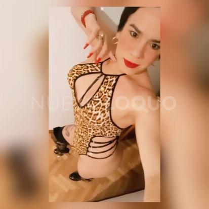 NuevoLoquo1