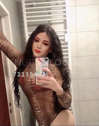 NuevoLoquo1