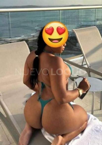 NuevoLoquo3