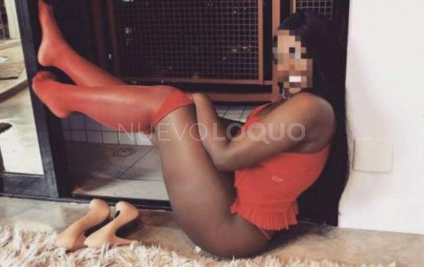 NuevoLoquo2