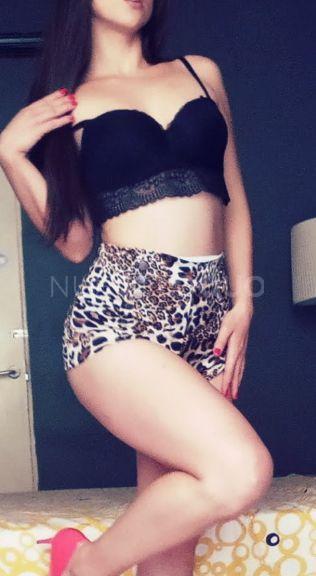 NuevoLoquo3