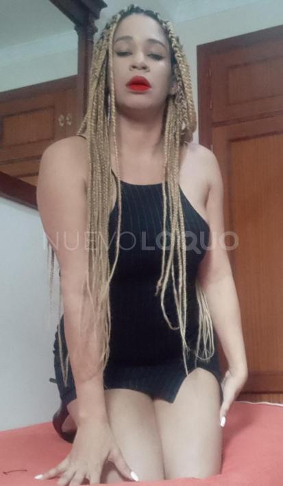 NuevoLoquo2
