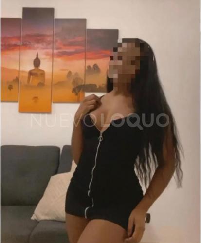 NuevoLoquo3