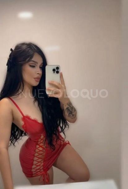  Novedad Española