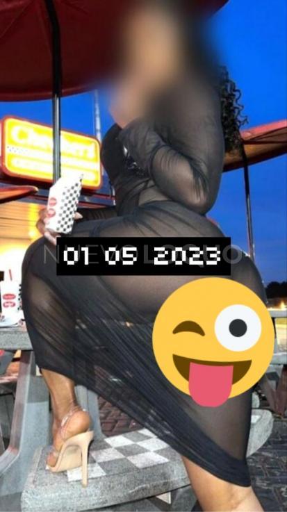 NuevoLoquo2