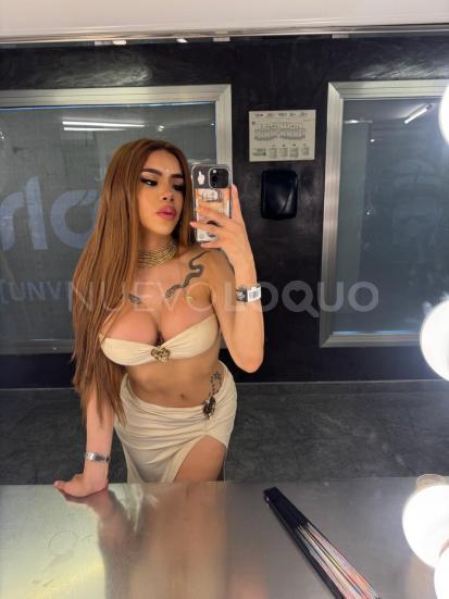 NuevoLoquo5