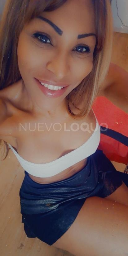 NuevoLoquo1