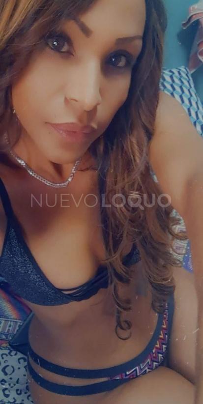 contactos pasion
