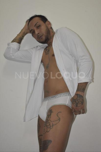 NuevoLoquo2