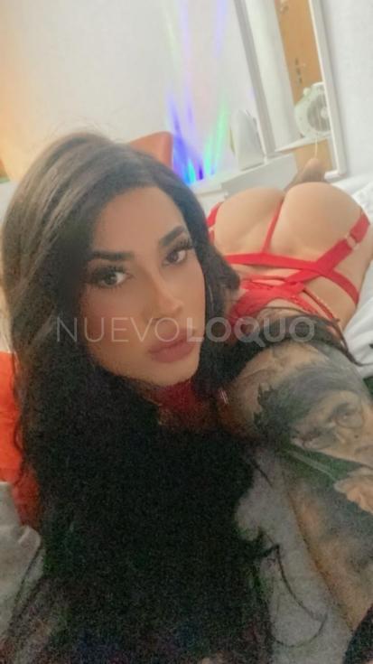 NuevoLoquo4