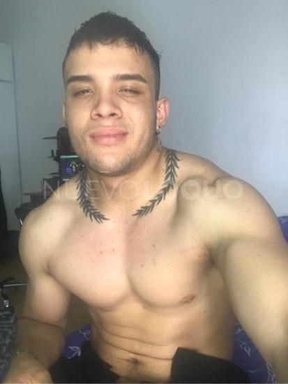 NuevoLoquo5