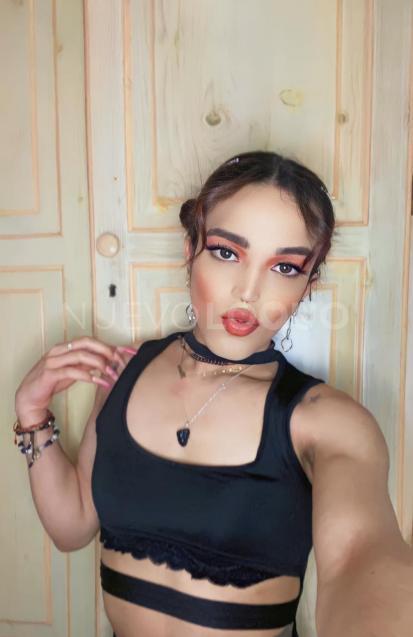 NuevoLoquo5