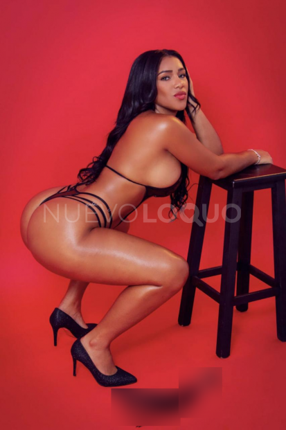NuevoLoquo3