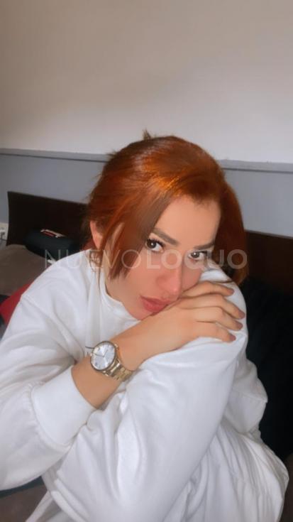 NuevoLoquo3