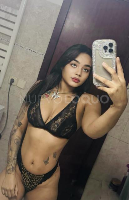NuevoLoquo3