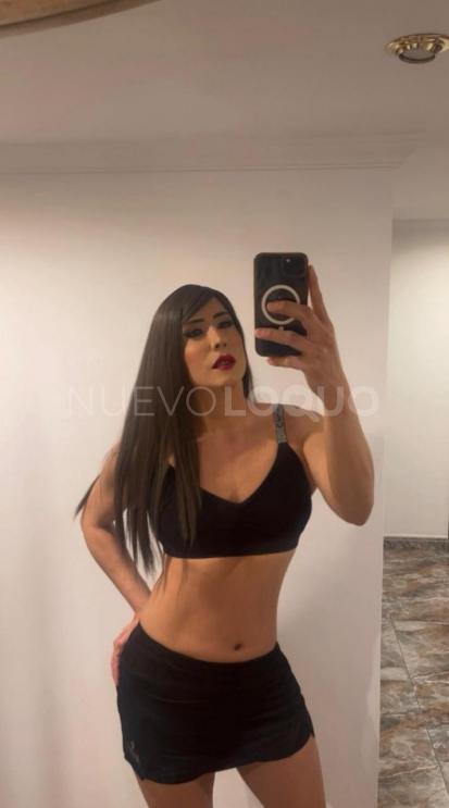 NuevoLoquo2
