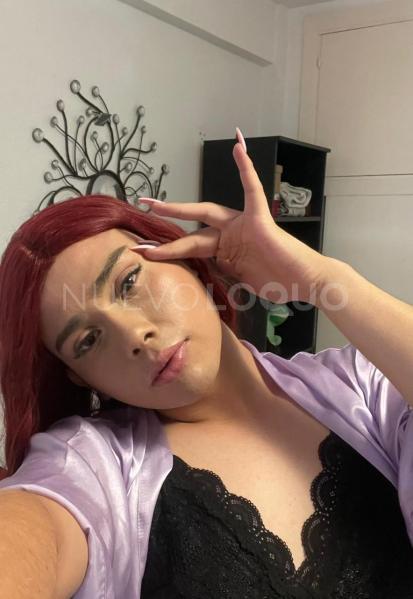 NuevoLoquo3