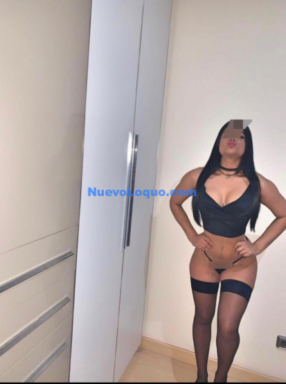 NuevoLoquo2