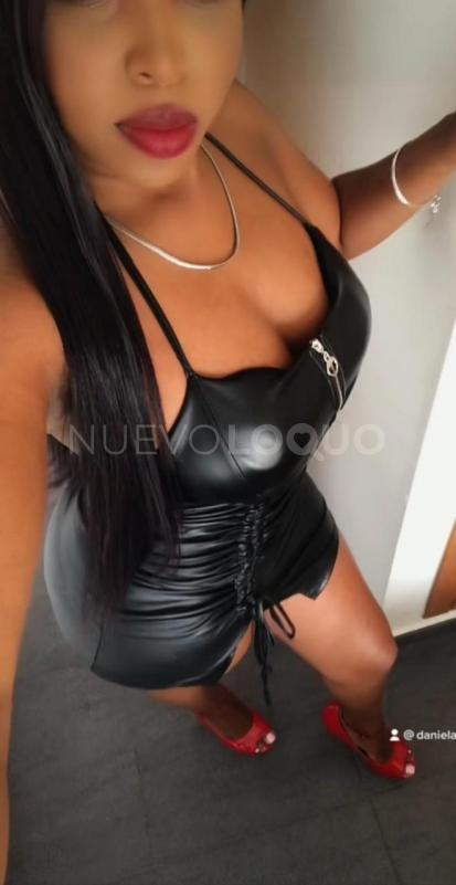 NuevoLoquo2