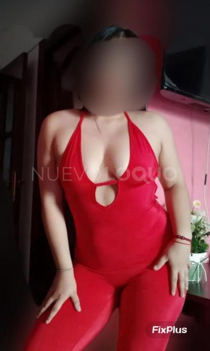 NuevoLoquo2