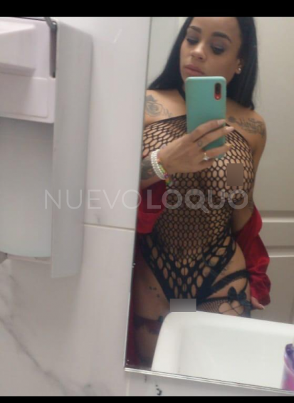 NuevoLoquo3