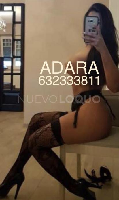NuevoLoquo2